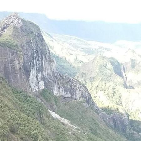 Chalet Les Azalees Le Tampon Dış mekan fotoğraf