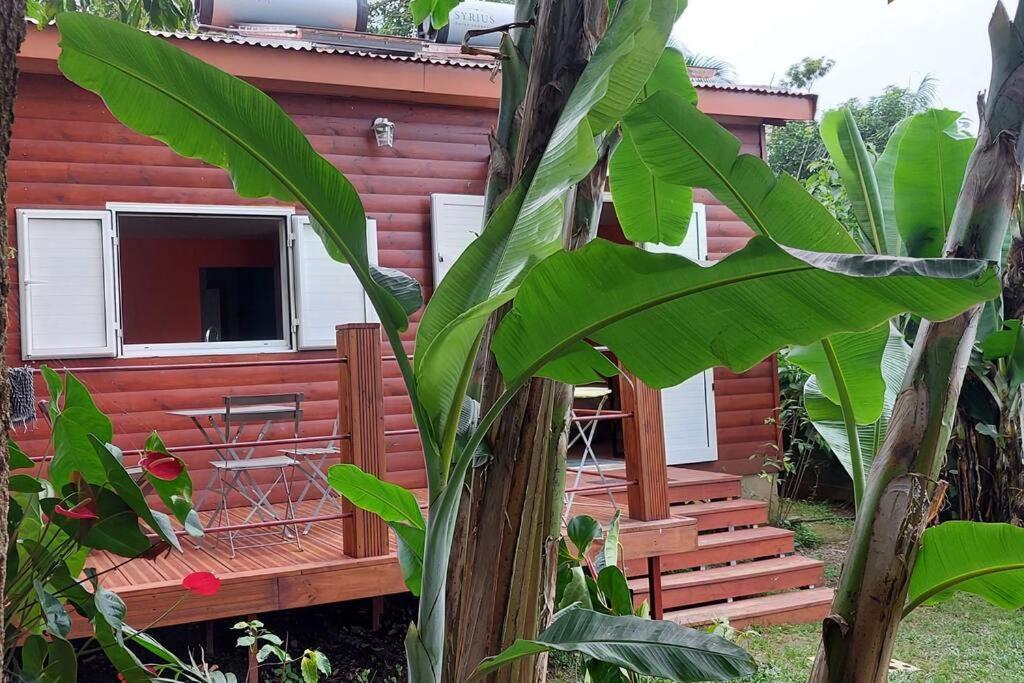 Chalet Les Azalees Le Tampon Dış mekan fotoğraf