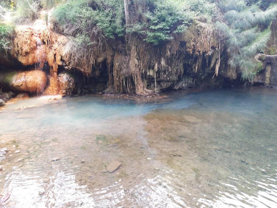 Chalet Les Azalees Le Tampon Dış mekan fotoğraf